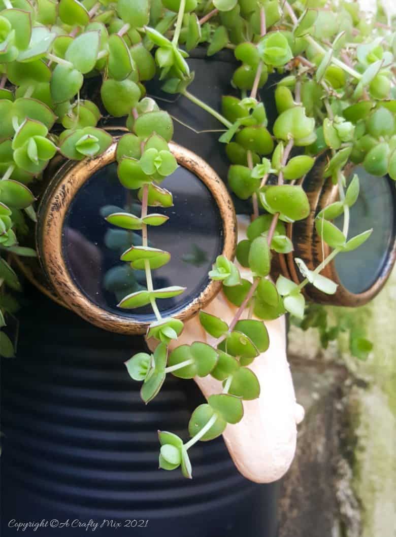 Looking for a creative way to repurpose a tin can? The  you'll love this tin can steampunk planter. We call him Dr Edinose and he's sure to add a little whimsy to your outdoor decor. #steampunkplanter #ACraftyMix #TinCanRecycle