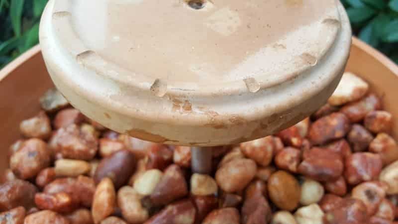 This photo-rich tutorial will show you how just how easy it is to repurpose an empty CD case and turn it in a CD spindle water feature bringing a calming, zen-like decorative feel to any space. #Spindlerepurpose #ACraftyMix #waterfeature