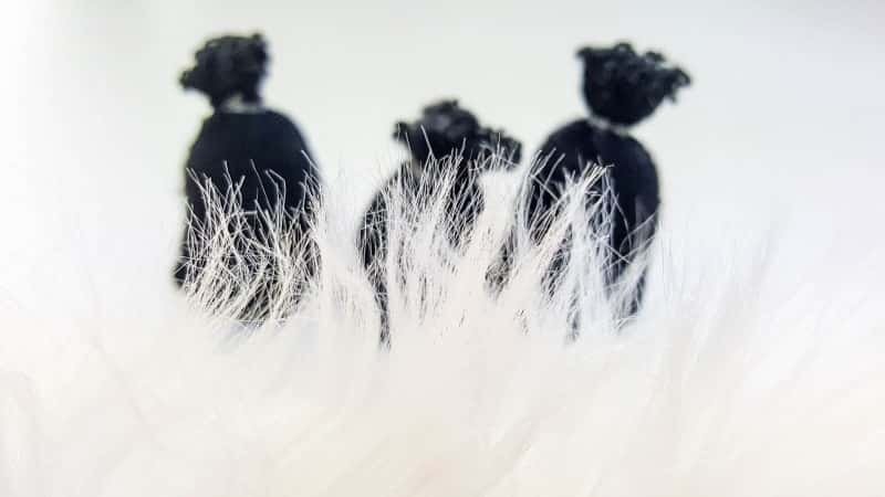 The tied off gnome bodies and white furry fabric