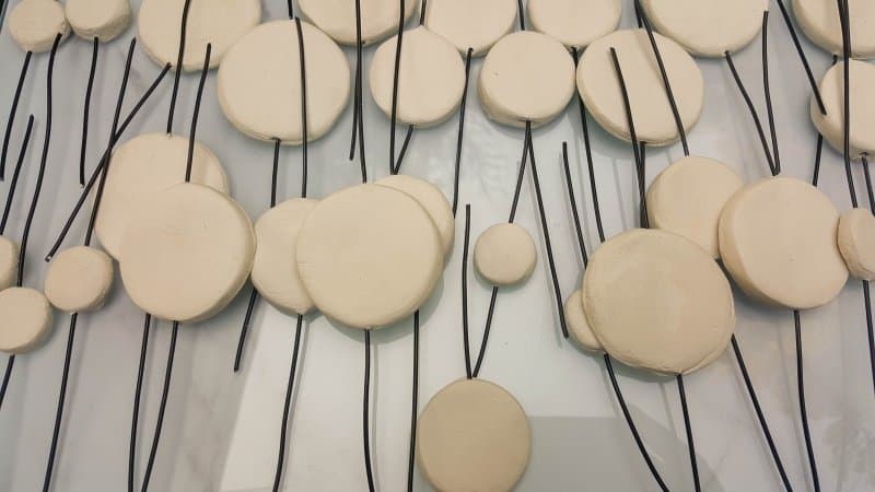 Leave the wire and clay discs to dry