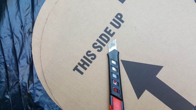 Cut out two large cardboard circles