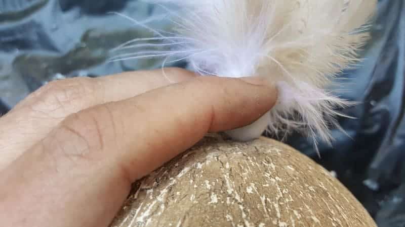 Put a few feathers in a bead and glue the feathered bead in place