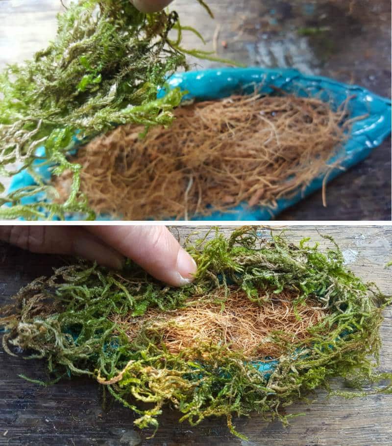 Glue moss to the outside of the ears and coconut fiber to the inside