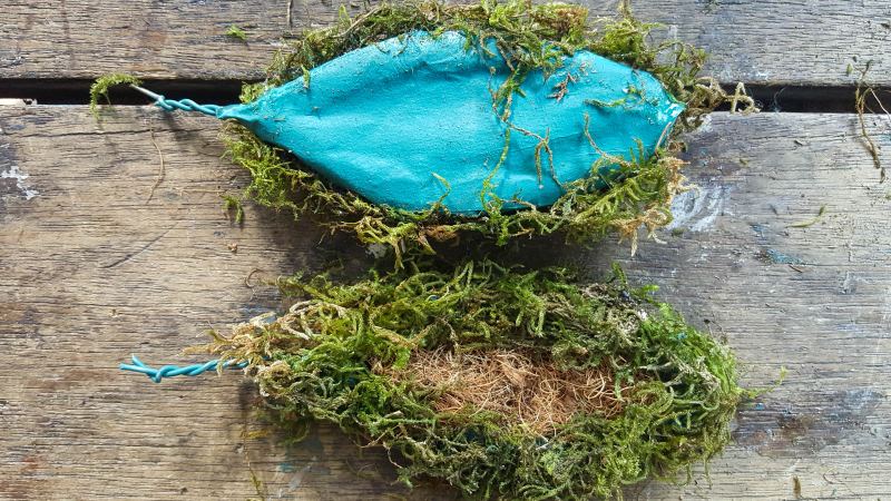 Glue moss to the outside of the ears and coconut fiber to the inside