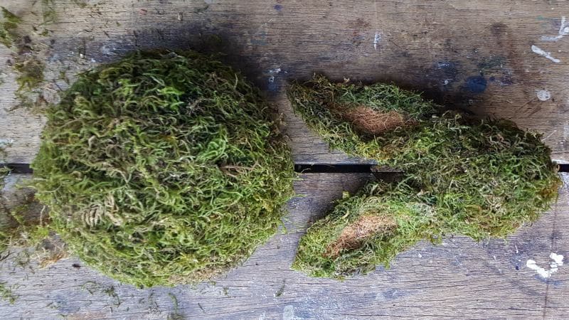 All the pieces that make up the newspaper moss bunny