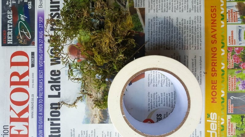 To make the adorable moss bunny you'll need newspaper, moss, glue, masking tape and skewers