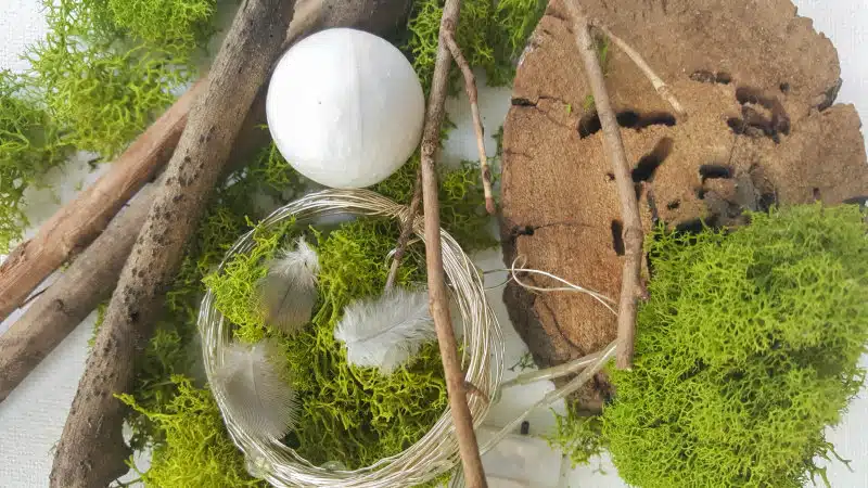 A collection of twigs, moss and feathers to make a pixie den
