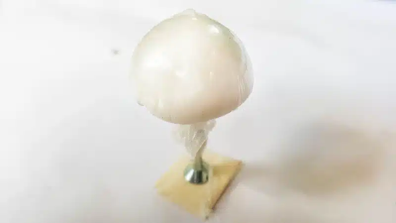 Stick the polystyrene half ball down on a piece of masking tape or double-sided tape