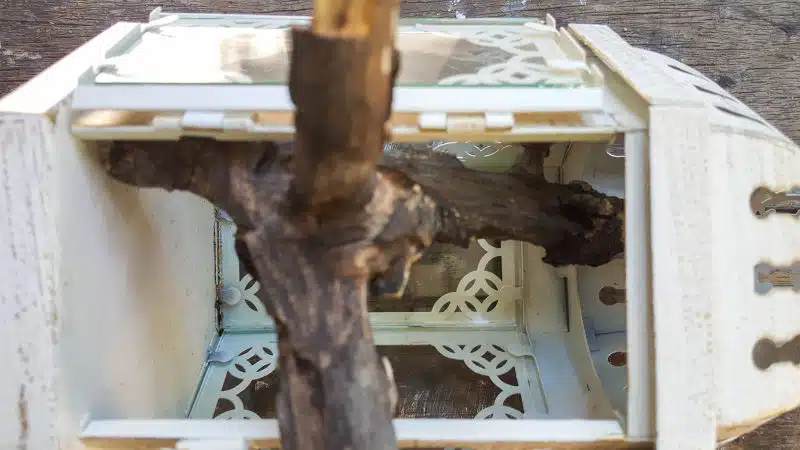 Play around with your finds and trim if necessary