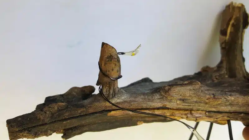 Wrap the fairy lights around the branch