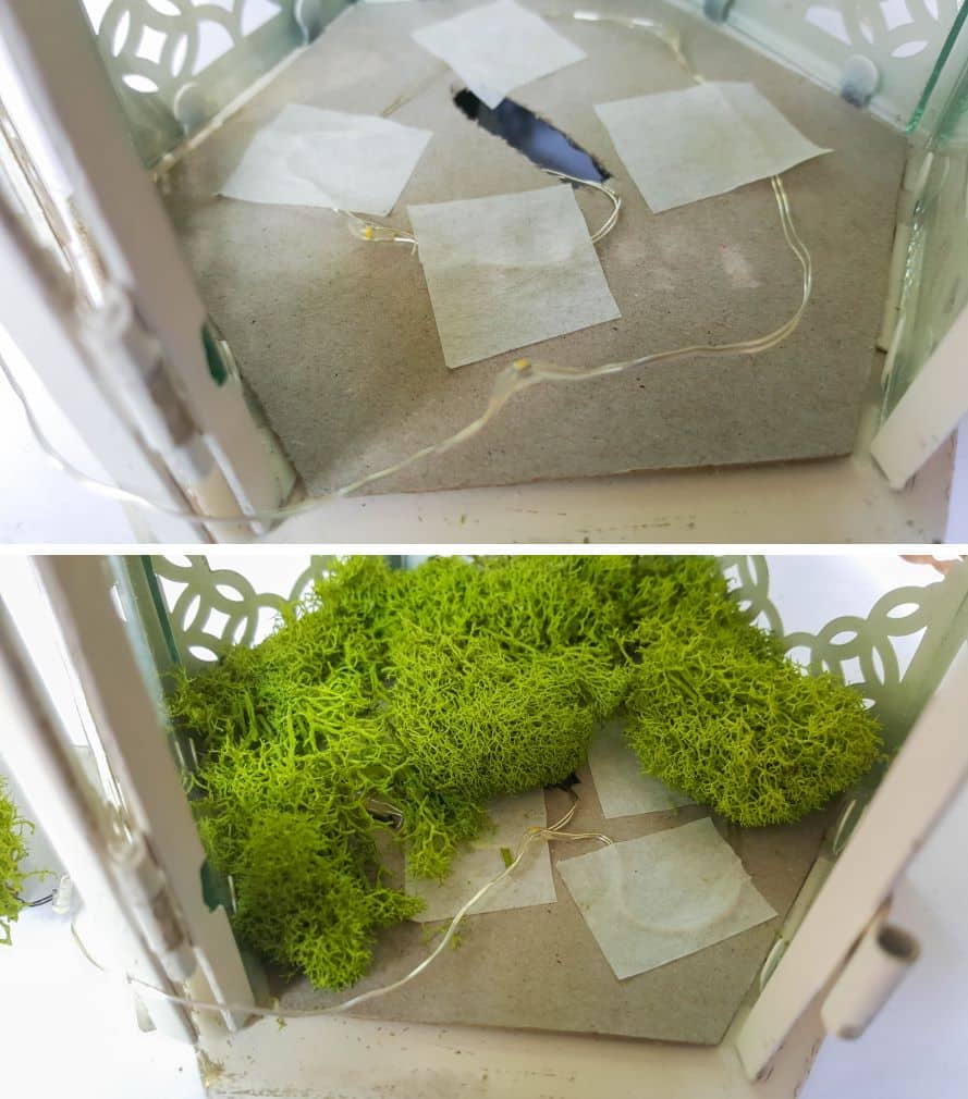 Tape the fairy lights down and cover with moss