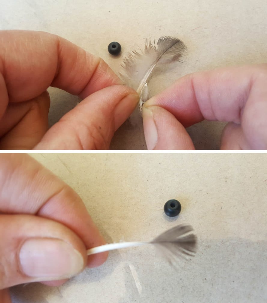Remove some of the downy bits at the bottom of the feather