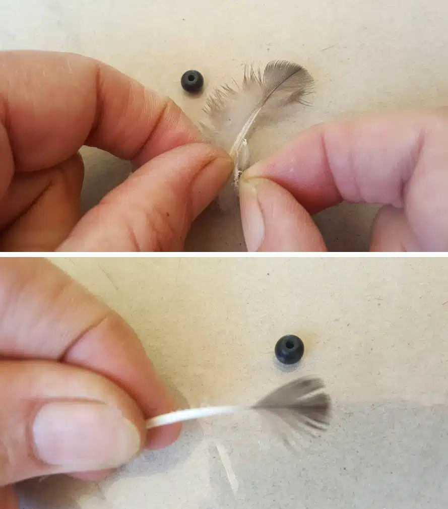 Remove some of the downy bits at the bottom of the feather