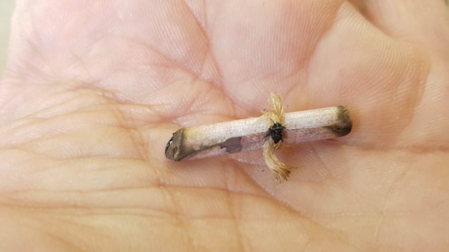 A close up view of the tiny pixie scroll with wax seal