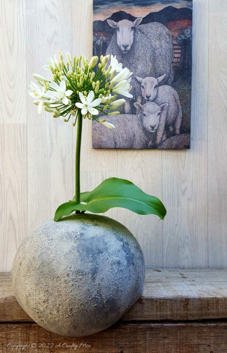 This simple step by step tutorial will show you how to make an unusual cardboard vase for real flowers and use charcoal ash to add texture. The easy-to-follow craft tutorial can be adapted for any vase style.