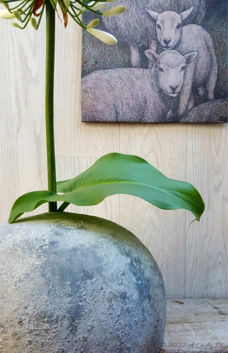 This simple step by step tutorial will show you how to make an unusual cardboard vase for real flowers and use charcoal ash to add texture. The easy-to-follow craft tutorial can be adapted for any vase style.