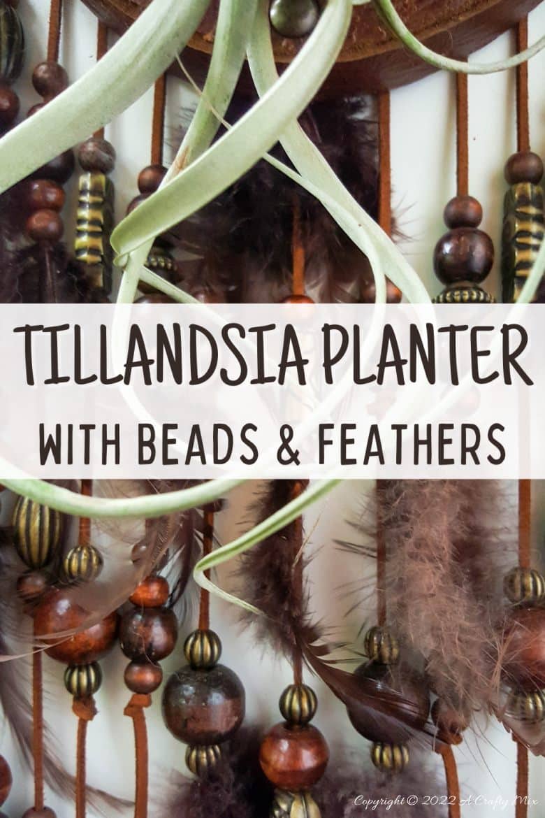 Do you enjoy making planters that serve a dual purpose? We sure do. I've been nurturing a rather large air plant for a while and wanted to make something that would put her center stage and add a little boho magic to our decor. And I think I may have done just that with this leather Tillandsia planter. Get the full tutorial here. #diyairplanter #AcraftyMix #livingwalldecor