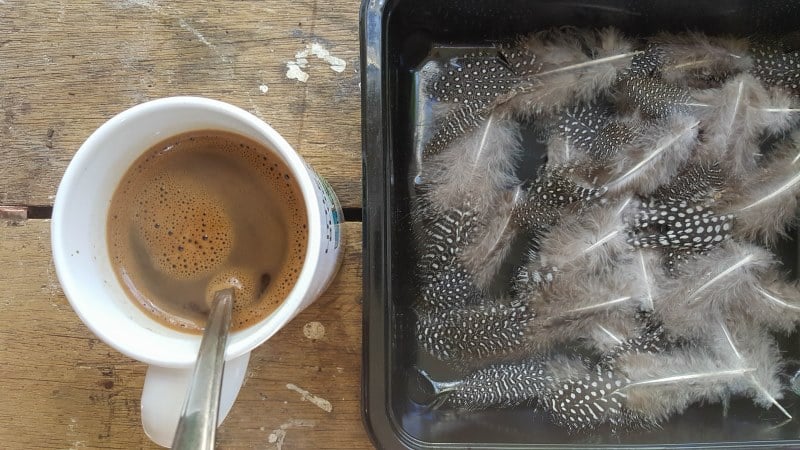 Mix coffee with boiling water and wait for it to cool down before dipping the feathers