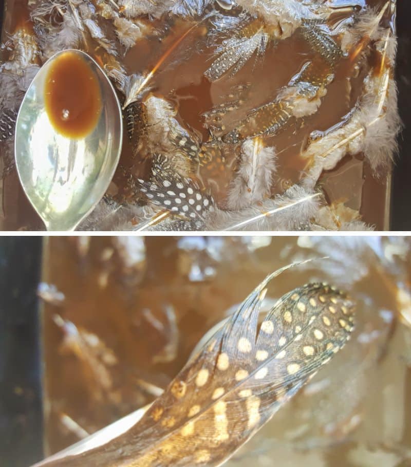 Submerge the feathers in the coffee mixture