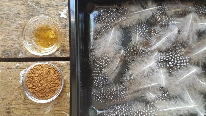 Mix coffee with boiling water and wait for it to cool down before dipping the feathers