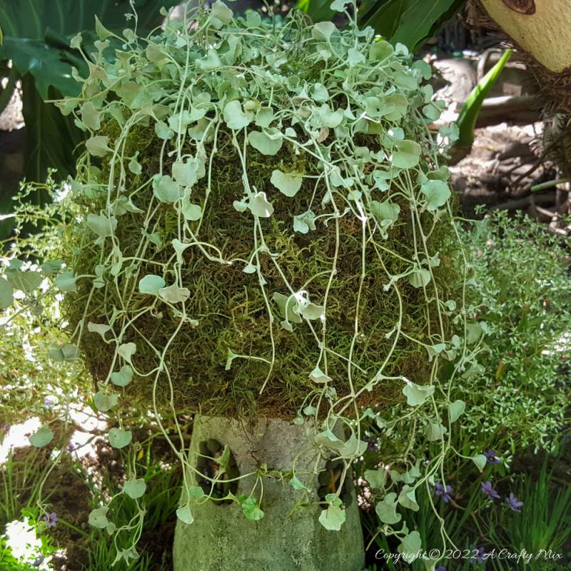 We all need a little fun and magic in the garden, which is why we made this &ldquo;Not Mushroom&rdquo; fairy house planter. And while the mushroom looks like it was cast in concrete, it actually uses a large polystyrene form as a base. Come see how we made this one. #Gardendecor #Acraftymix #fairygarden