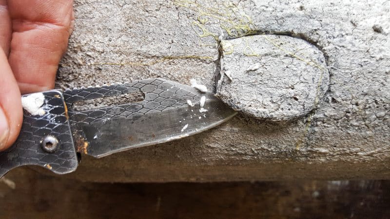 Draw a door and windows on the mushroom stalk and cut out with a craft knife