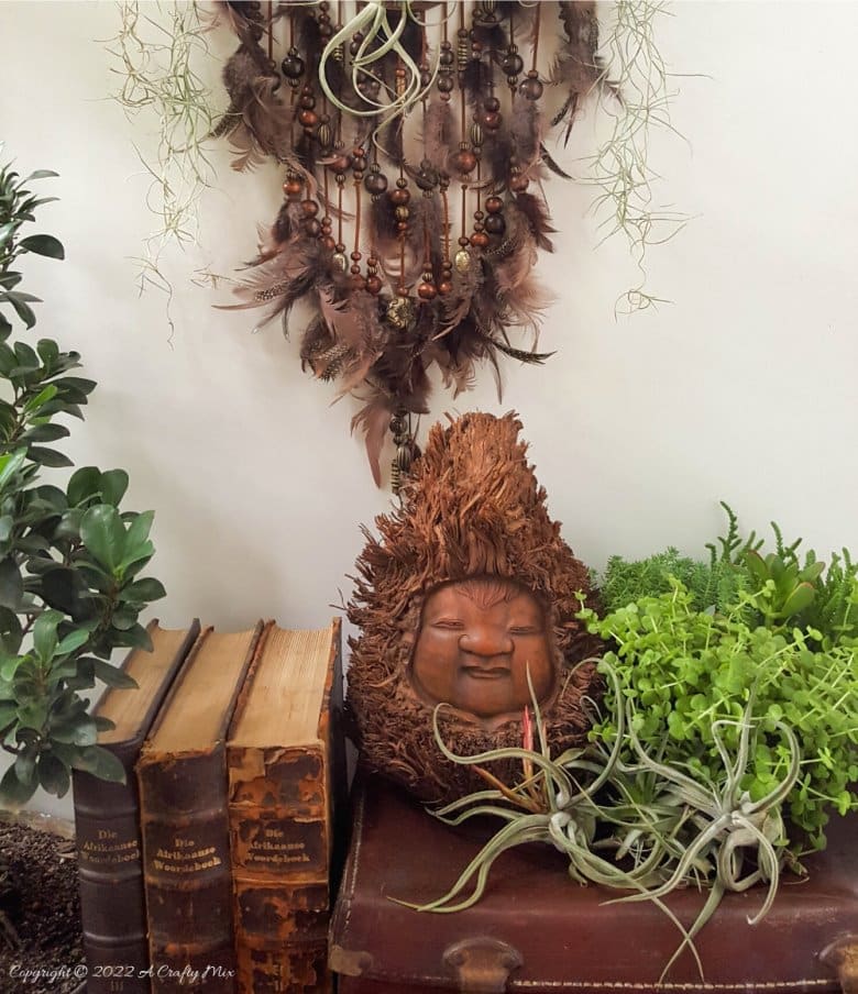 Do you enjoy making planters that serve a dual purpose? We sure do. I've been nurturing a rather large air plant for a while and wanted to make something that would put her center stage and add a little boho magic to our decor. And I think I may have done just that with this leather Tillandsia planter. Get the full tutorial here. #diyairplanter #AcraftyMix #livingwalldecor