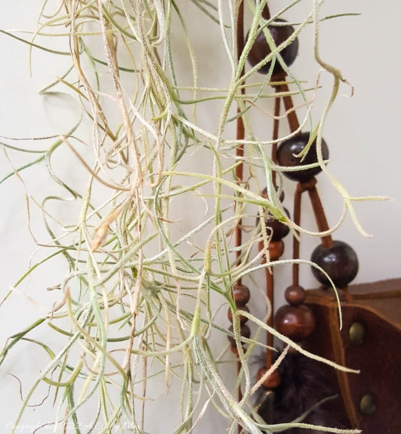 Do you enjoy making planters that serve a dual purpose? We sure do. I've been nurturing a rather large air plant for a while and wanted to make something that would put her center stage and add a little boho magic to our decor. And I think I may have done just that with this leather Tillandsia planter. Get the full tutorial here. #diyairplanter #AcraftyMix #livingwalldecor