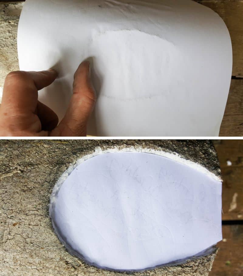 Make a paper template of the door and windows