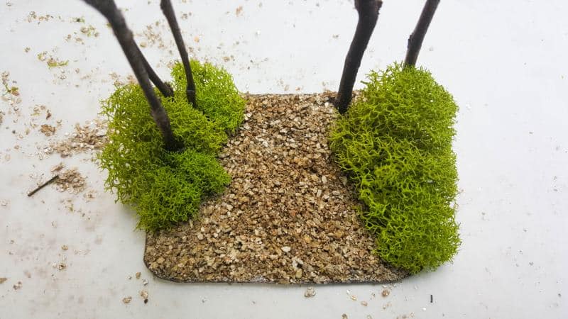 Add some mossy shrubs