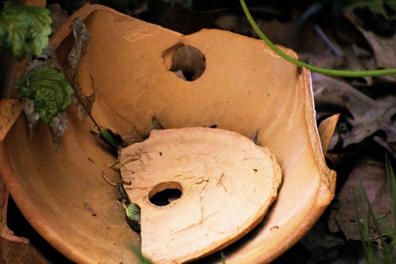 Broken shards of a terra cotta pot
