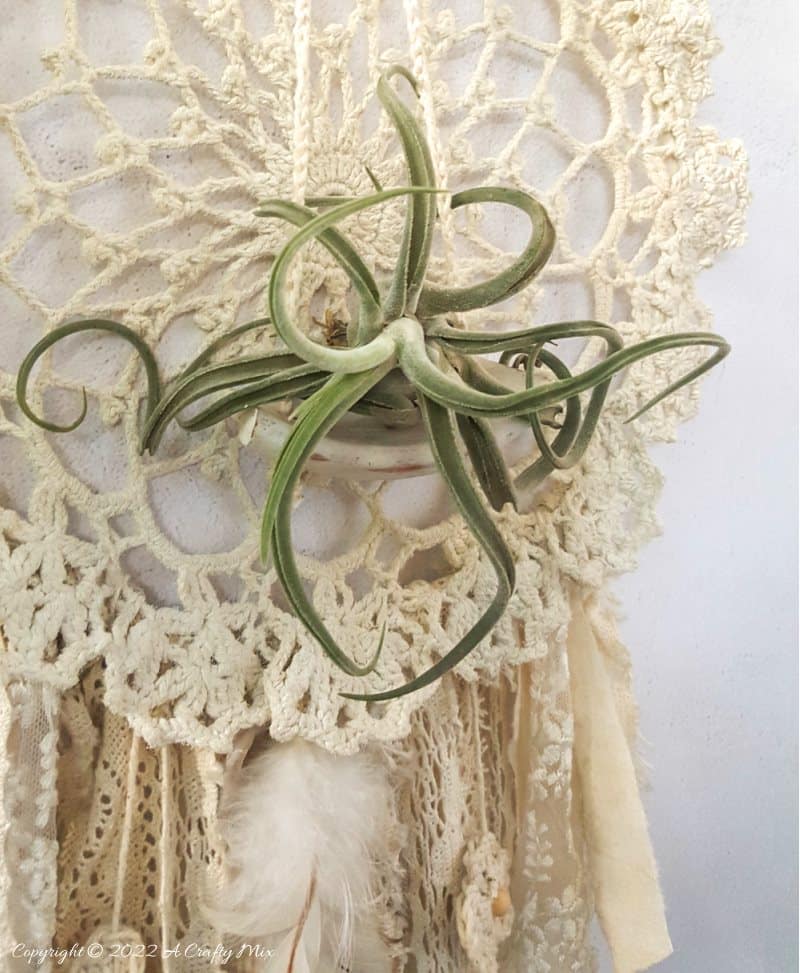 Looking for a charming way to incorporate plants in your d&eacute;cor? This repurposed doily air plant holder is quick and easy to make and can be hung anywhere to add a little natural greenery to your home. #ACraftyMix #BrokenTerraCotta #GreenWallDecor