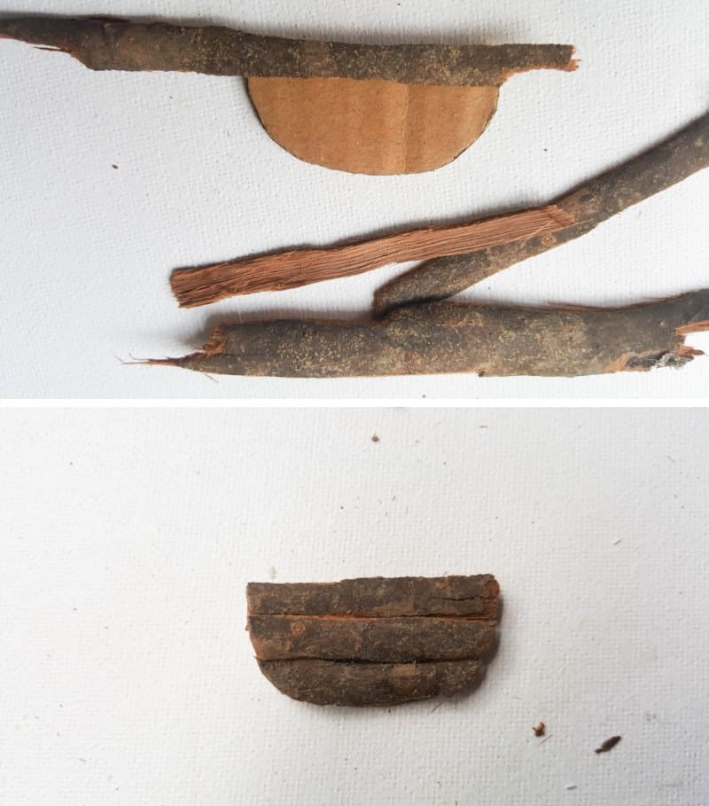 Glue small strips of bark onto the cardboard