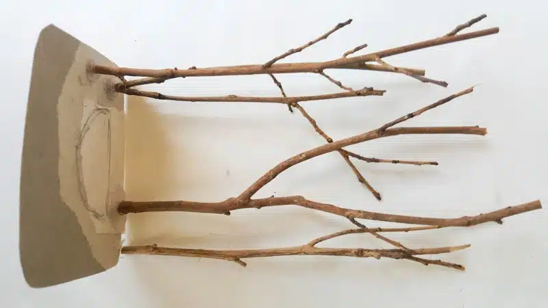 Glue the twig trees down on a piece of cardboard