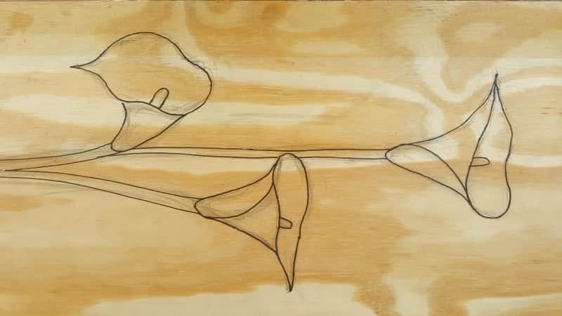 Trace or transfer your picture onto a piece of wood