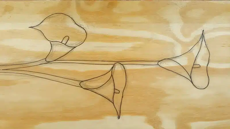 Trace or transfer your picture onto a piece of wood