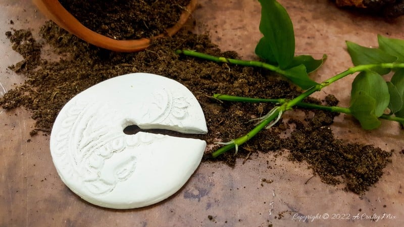 Looking for a creative way to root your plant cuttings? Make these DIY propagation discs in minutes and turn ordinary jars into eye-catching plant displays. They&rsquo;re perfect for gifting, personalizing, or adding a fresh touch to your windowsill garden.  Try different colors to match your home decor and watch your plant collection thrive.