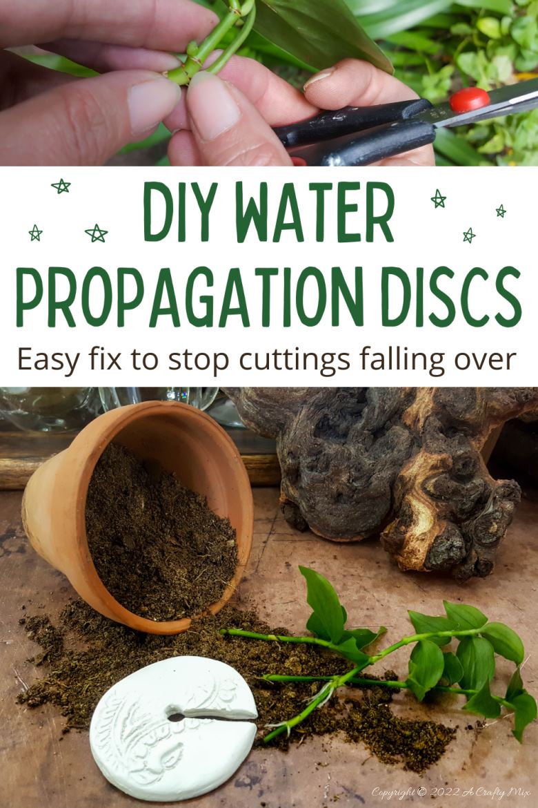 Looking for a creative way to root your plant cuttings? Make these DIY propagation discs in minutes and turn ordinary jars into eye-catching plant displays. They&rsquo;re perfect for gifting, personalizing, or adding a fresh touch to your windowsill garden.  Try different colors to match your home decor and watch your plant collection thrive.