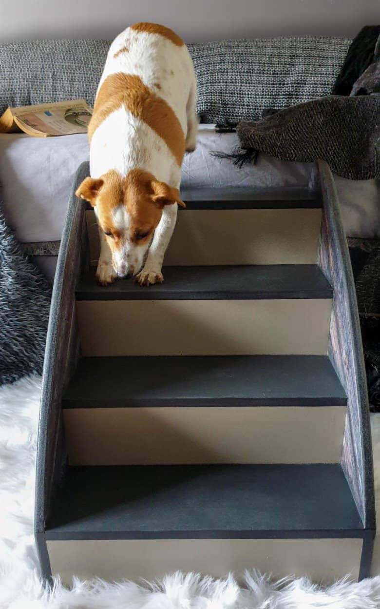 Wooden doggie stairs are perfect for helping fur babies get onto the couch or bed for cuddles. Whether you make your own or buy them online, this tutorial will show you how to transform them quickly and easily into something that both stylish and functional. #ACraftyMix