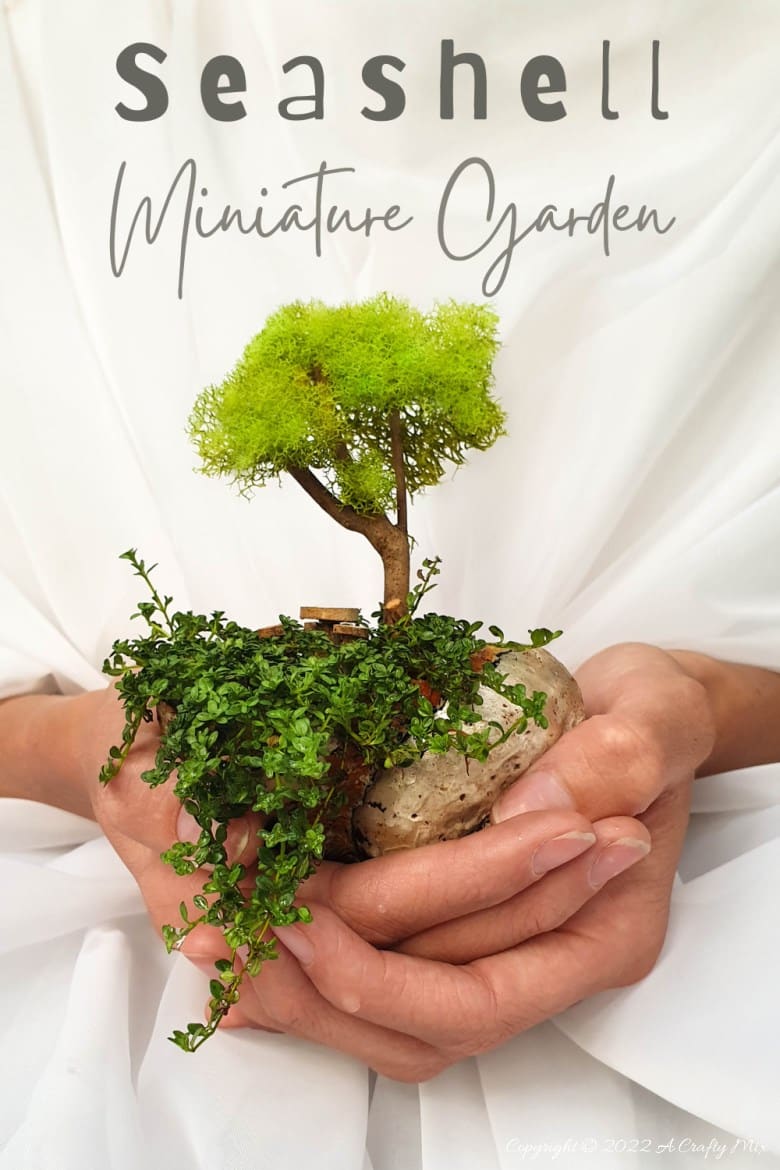 Making a teeny, tiny garden always puts things into perspective for me, and this miniature seashell garden is probably one of the smallest we&rsquo;ve made so far. Come see how we did it while we share tips on what plants you to use and how to prepare your seashell. #ACraftyMix