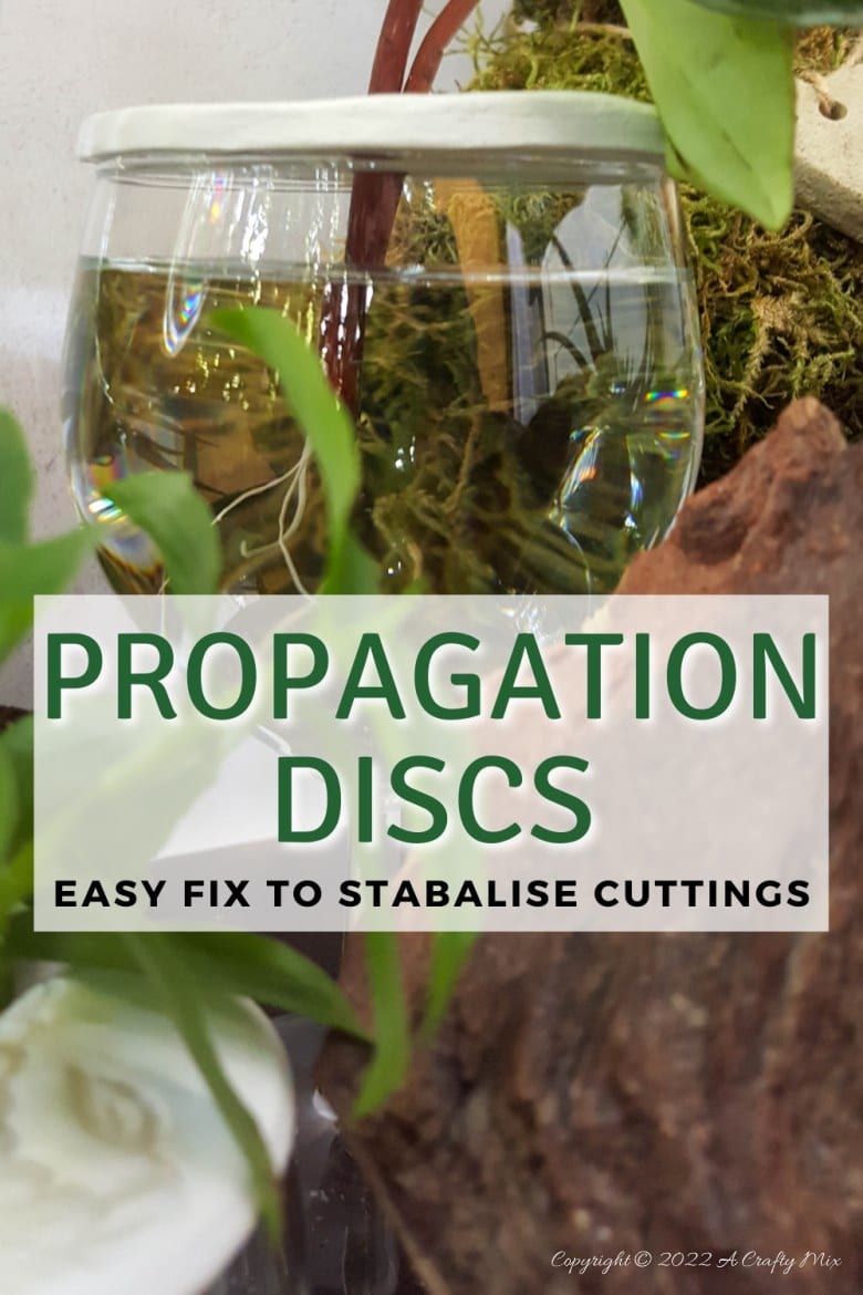 Looking for a creative way to root your plant cuttings? Make these DIY propagation discs in minutes and turn ordinary jars into eye-catching plant displays. They&rsquo;re perfect for gifting, personalizing, or adding a fresh touch to your windowsill garden.  Try different colors to match your home decor and watch your plant collection thrive.