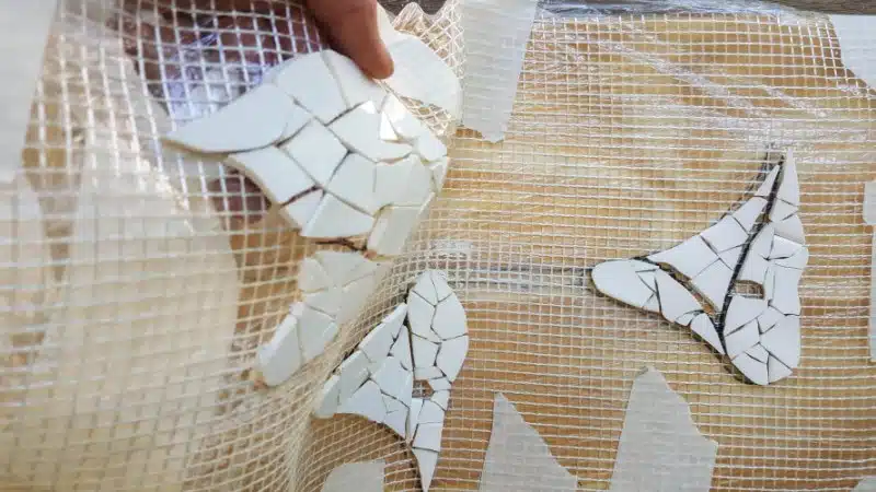 Lift the mesh off of the image