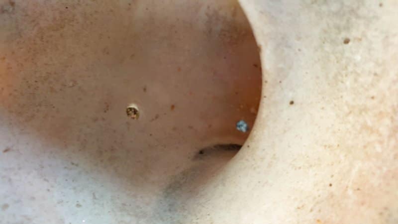 Make 2 - 3 small drainage holes at the bottom of the shell