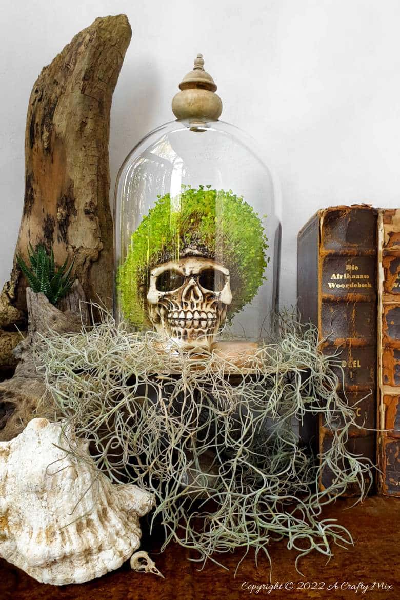 Looking for a unique budget-friendly DIY idea this spooky season? This chic and creepy Halloween seed skull only takes a few minutes to put together. Perfect for home decor or on a charcuterie board #ACraftyMix #Halloween