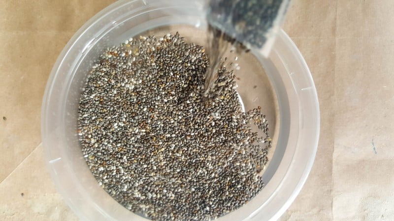 Pour the organic chia seeds in the water to soak