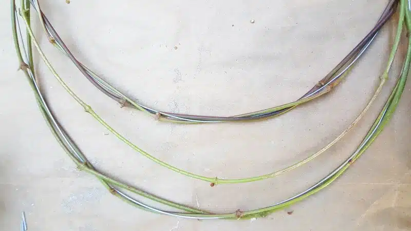 Twist the vines around the crescent moon wire form