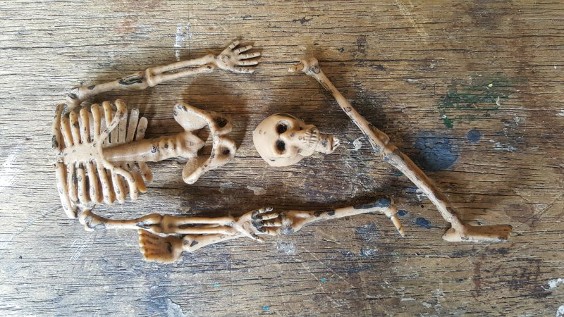 Cut the head, legs, and arms off the skeleton with a pair of scissors