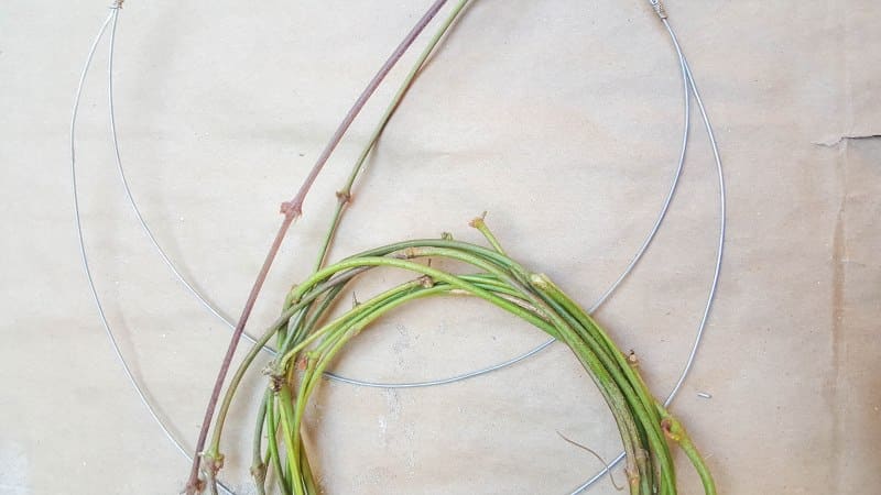 Use green vines or branches to make the wreath