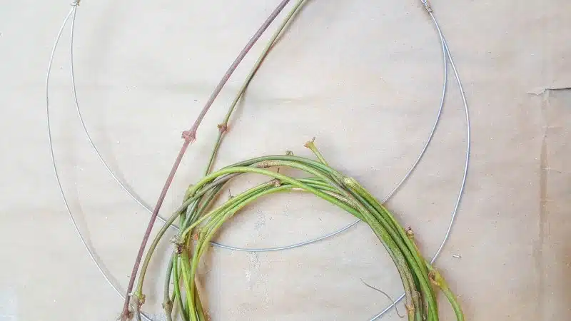 Use green vines or branches to make the wreath