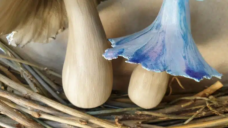 Insert the wired mushroom in the wreath and twist to secure